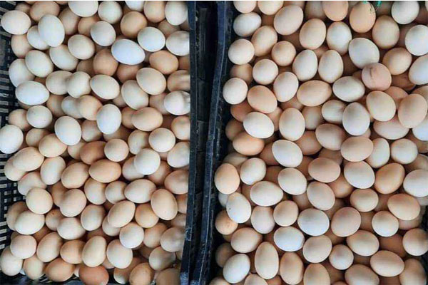 Ngày bán trăm bó lá thơm để xe ô tô, dân buôn thu về tiền triệu-4