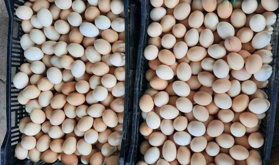 Trứng gà giảm giá kỷ lục, rao bán la liệt rẻ chưa từng có-2