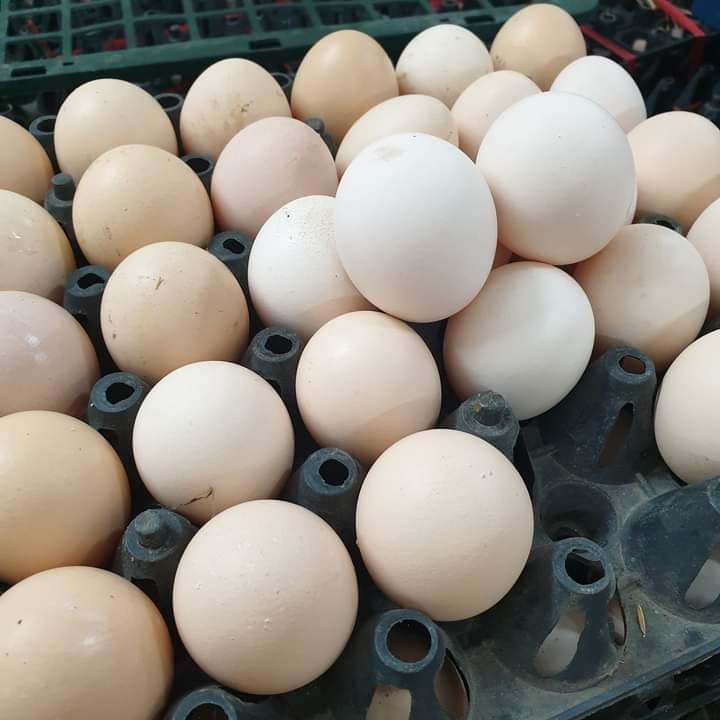 Trứng gà giảm giá kỷ lục, rao bán la liệt rẻ chưa từng có-1