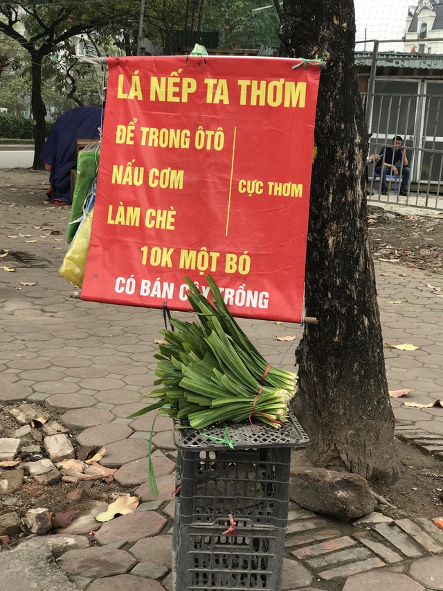 Ngày bán trăm bó lá thơm để xe ô tô, dân buôn thu về tiền triệu-1