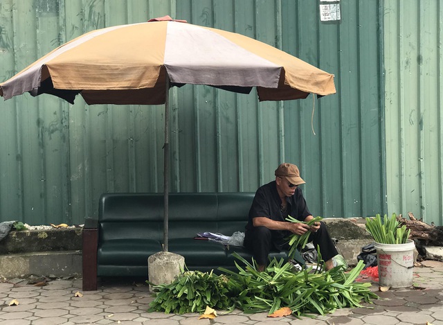 Ngày bán trăm bó lá thơm để xe ô tô, dân buôn thu về tiền triệu-3