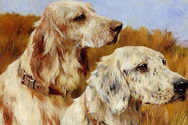 Không xinh đẹp nhưng nếu sở hữu nét tướng này, bạn chắc chắn lấy được chồng giàu-3