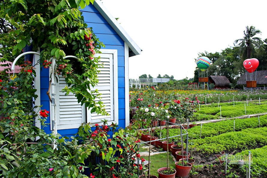 Chồng liên tục đổi mật khẩu điện thoại-1