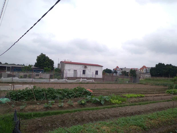 Vụ chồng sát hại vợ và con gái ở Đông Anh: Nạn nhân là giảng viên đại học, được nhiều người quý mến-1