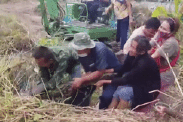 Người dân bắt sống trăn khổng lồ nặng 100kg nấp trong vườn nhà