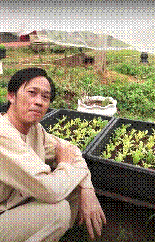 Khu vườn rau củ quả trong nhà thờ Tổ của NSƯT Hoài Linh-7