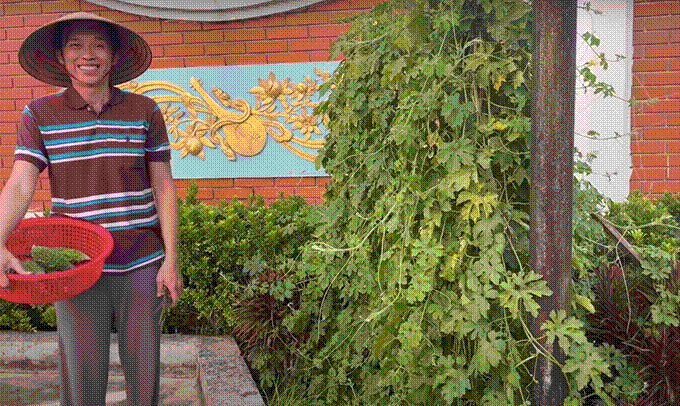 Khu vườn rau củ quả trong nhà thờ Tổ của NSƯT Hoài Linh-9