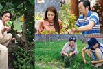 Khám phá khu vườn rộng 500m2 nhiều cây trái Việt ở Mỹ của danh ca Hương Lan-16
