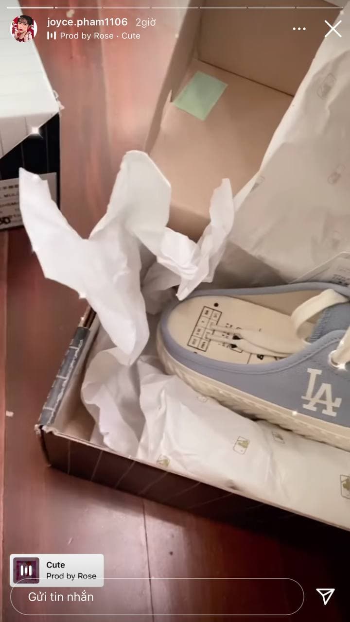 Đẳng cấp chịu chơi như Joyce Phạm: Đã shopping là phải xách cả núi hàng hiệu về nhà, mua 1 kiểu giày nhưng phải 5 đôi 5 màu mới chịu!-7