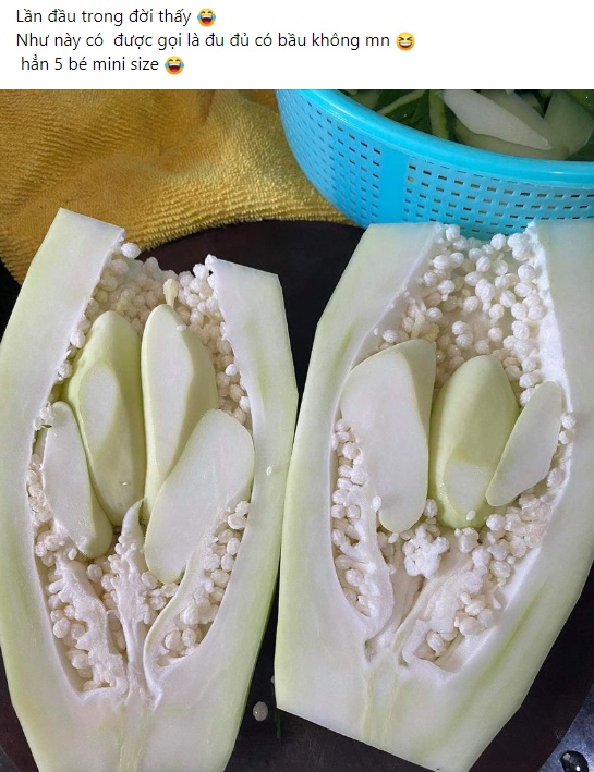 Quả đu đủ mang bầu 5 trái mini bên trong khiến dân mạng bất ngờ, nhiều người đùa hay là có mộng giống quả dừa!?-1