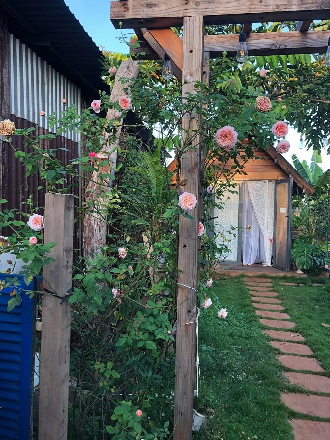 Ngôi nhà hoa hồng rộng 15m2 của vợ chồng trẻ ở Vũng Tàu-6