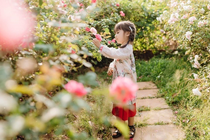 Ngôi nhà hoa hồng rộng 15m2 của vợ chồng trẻ ở Vũng Tàu-11