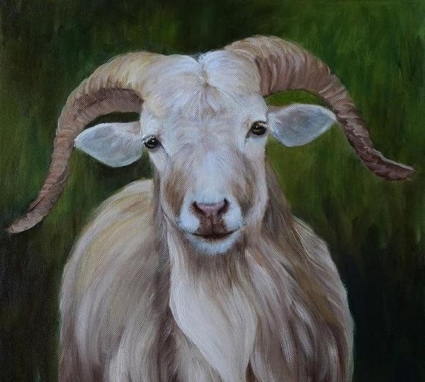 Đúng 3 ngày tới những con giáp này may mắn nhận lộc trời ban, vận đỏ như son, làm gì cũng giàu có-2