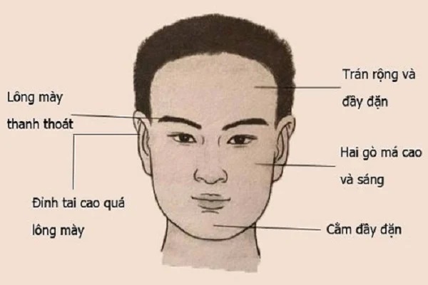 Đàn ông 3 thứ to, 1 thứ nhỏ dễ làm quan lớn, tuổi trung niên không tỷ phú cũng đại gia-2