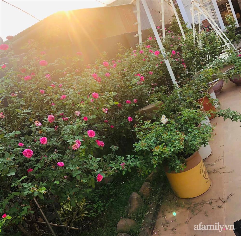 Bận rộn chăm sóc 3 con, bà mẹ đảm vẫn một tay thiết kế khu vườn đầy hoa đẹp như mơ ở Đắk Nông-10