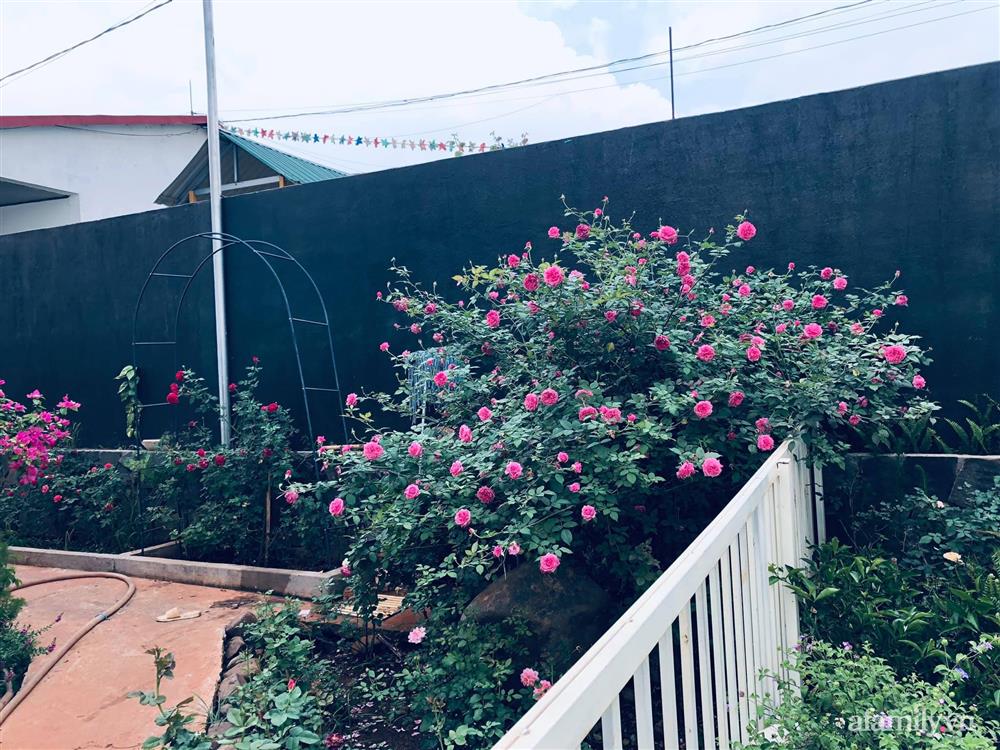 Bận rộn chăm sóc 3 con, bà mẹ đảm vẫn một tay thiết kế khu vườn đầy hoa đẹp như mơ ở Đắk Nông-16
