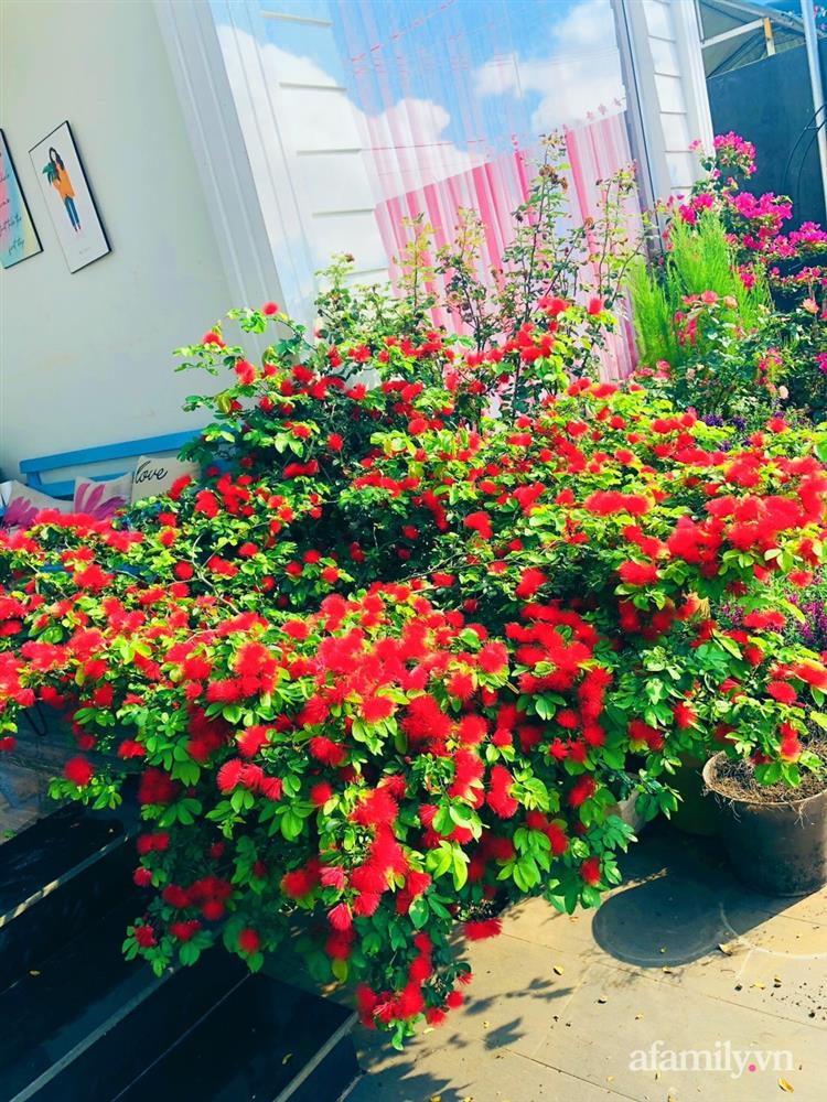 Bận rộn chăm sóc 3 con, bà mẹ đảm vẫn một tay thiết kế khu vườn đầy hoa đẹp như mơ ở Đắk Nông-24