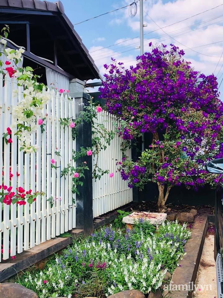 Bận rộn chăm sóc 3 con, bà mẹ đảm vẫn một tay thiết kế khu vườn đầy hoa đẹp như mơ ở Đắk Nông-26