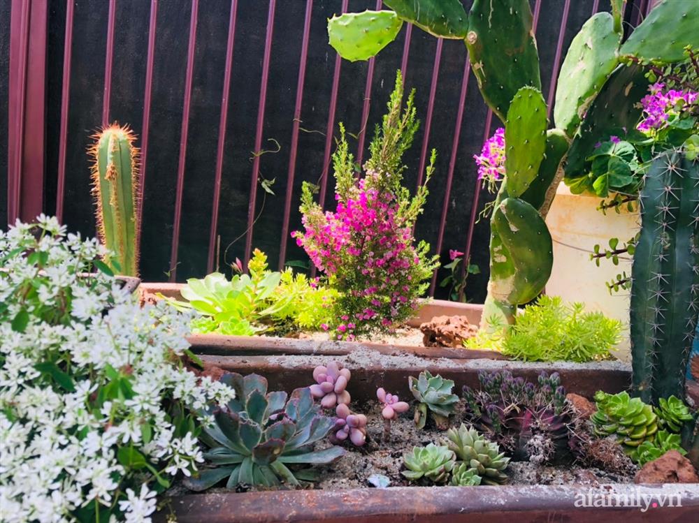 Bận rộn chăm sóc 3 con, bà mẹ đảm vẫn một tay thiết kế khu vườn đầy hoa đẹp như mơ ở Đắk Nông-27