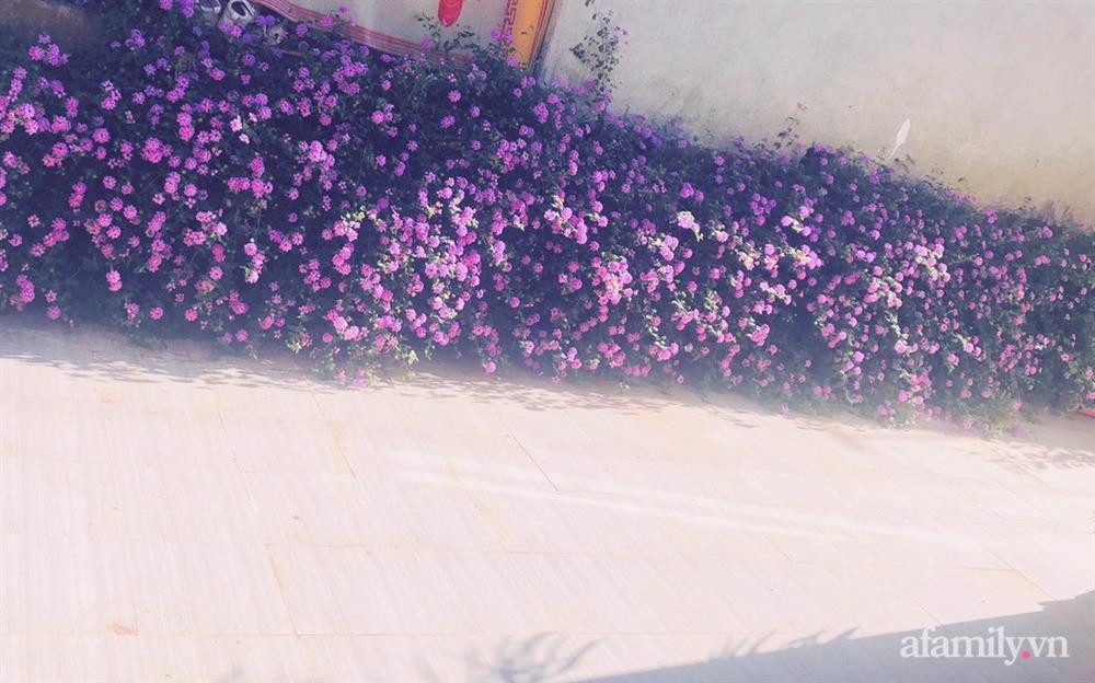 Bận rộn chăm sóc 3 con, bà mẹ đảm vẫn một tay thiết kế khu vườn đầy hoa đẹp như mơ ở Đắk Nông-28