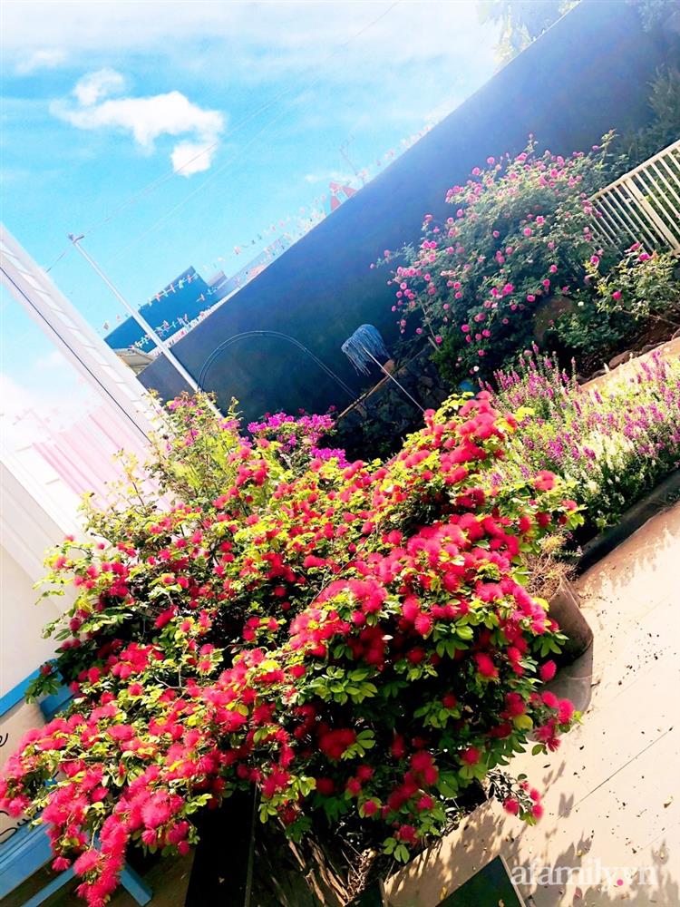 Bận rộn chăm sóc 3 con, bà mẹ đảm vẫn một tay thiết kế khu vườn đầy hoa đẹp như mơ ở Đắk Nông-30