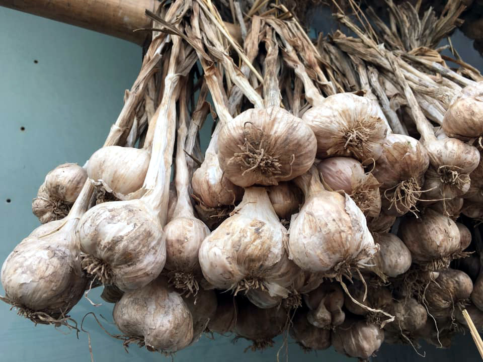 Bóc mẽ chiêu lừa hành tỏi Trung Quốc giả hàng Kinh Môn - Hải Dương-6