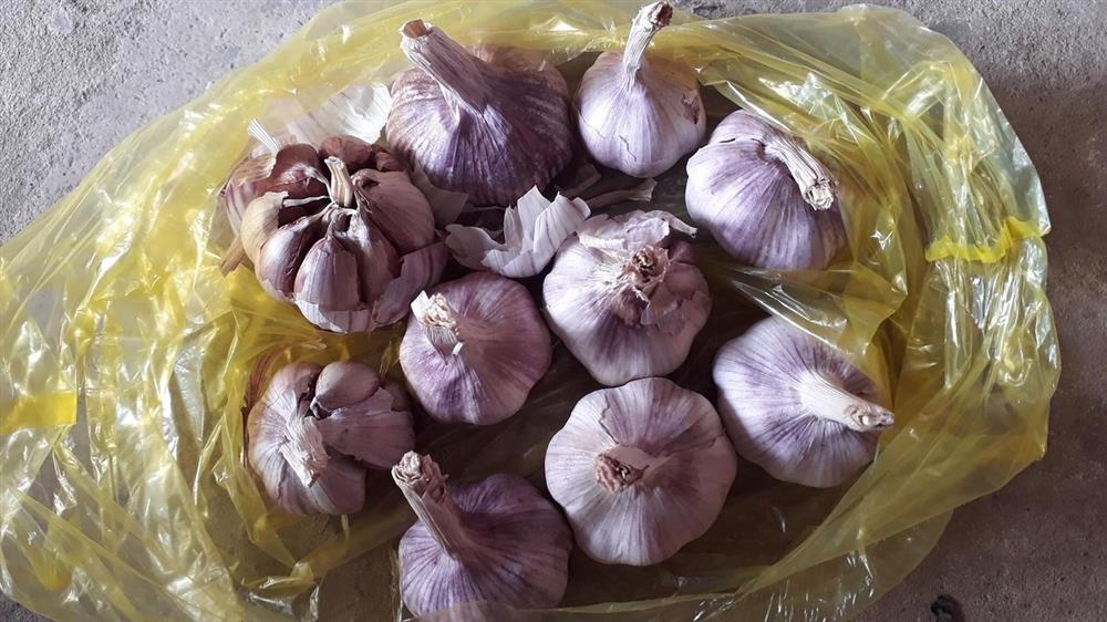 Bóc mẽ chiêu lừa hành tỏi Trung Quốc giả hàng Kinh Môn - Hải Dương-8