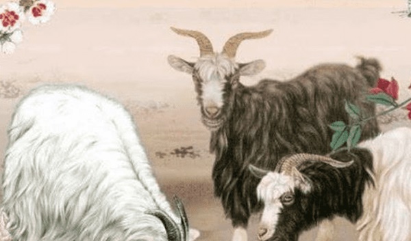 Có vàng trong số mệnh, 3 con giáp được mệnh danh là thượng thừa thiên hạ”, nửa cuối cuộc đời sẽ ngập tràn sung túc-3