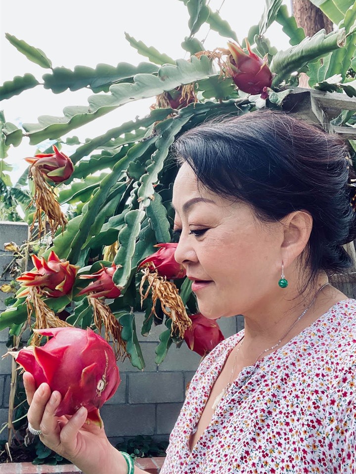 Khám phá khu vườn rộng 500m2 nhiều cây trái Việt ở Mỹ của danh ca Hương Lan-1