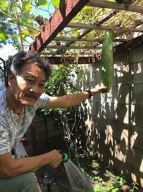 Khám phá khu vườn rộng 500m2 nhiều cây trái Việt ở Mỹ của danh ca Hương Lan-6