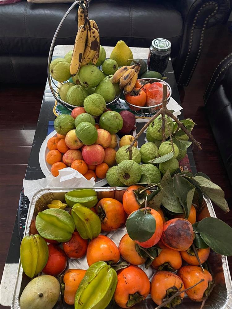 Khám phá khu vườn rộng 500m2 nhiều cây trái Việt ở Mỹ của danh ca Hương Lan-13
