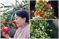 Khám phá khu vườn rộng 500m2 nhiều cây trái Việt ở Mỹ của danh ca Hương Lan