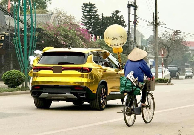 Đi nhận xe mà mặc đồ như Hoàng hậu giá đáo, nữ khách hàng khiến dân mạng xôn xao nhất ngày hôm nay!-4