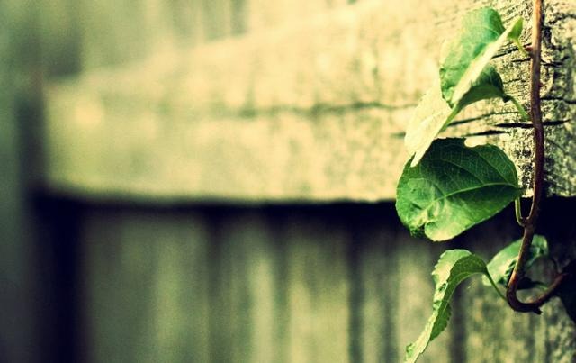 Đàn ông nếu không giấu bạn 3 điều này chứng tỏ anh ấy yêu bạn chân thành-2