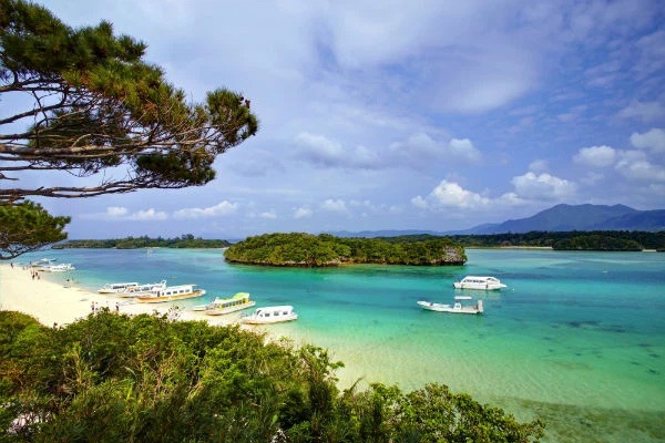 Người phụ nữ bị nhồi máu cơ tim rồi qua đời, bác sĩ xét nghiệm máu phát hiện hành vi lấy độc trị độc để đoạt mạng vợ đầy tinh vi của gã chồng-1