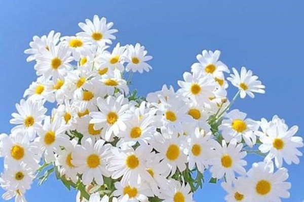 Những đứa trẻ sinh vào 3 tháng âm lịch này cuộc đời lớn lên sẽ không phải lo lắng về cơm ăn, áo mặc, giàu sang phú quý-2