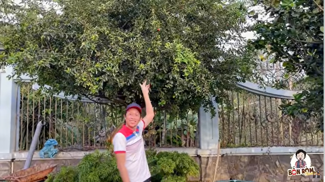 Hoài Linh khoe cây 8 tỷ ra quả, tiết lộ điều bất ngờ về mình năm mười mấy tuổi-1