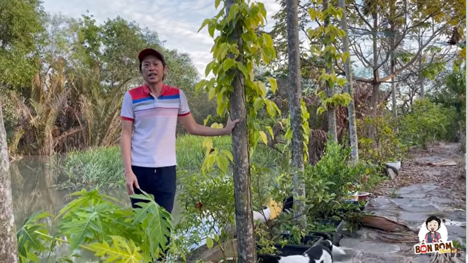 Hoài Linh khoe cây 8 tỷ ra quả, tiết lộ điều bất ngờ về mình năm mười mấy tuổi-3