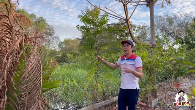 Hoài Linh khoe cây 8 tỷ ra quả, tiết lộ điều bất ngờ về mình năm mười mấy tuổi-4