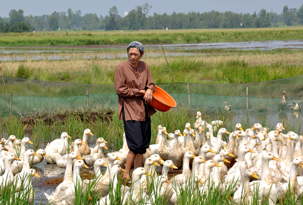 5 năm rồi NS Hoài Linh mới có ảnh diện vest, nhan sắc đỉnh cao đến mức chính chủ còn không nhận ra-2