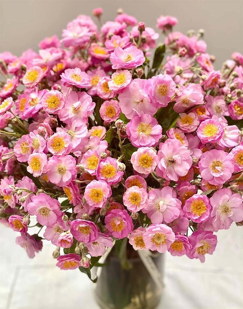 Năm chỉ có một mùa, Hà thành đổ xô mua hoa dại thôn quê chơi xuân-1