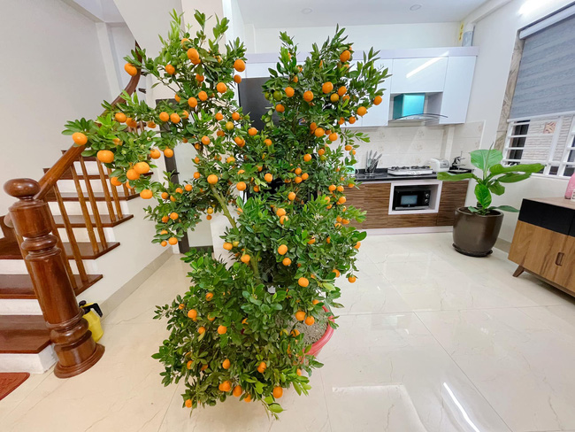 Không gian sống bạc tỷ của MC Chúng tôi là chiến sĩ: Tiện nghi và ngập tràn hoa lá, nhưng chính chủ lại tiết lộ... phần lớn là nợ ngân hàng!-3