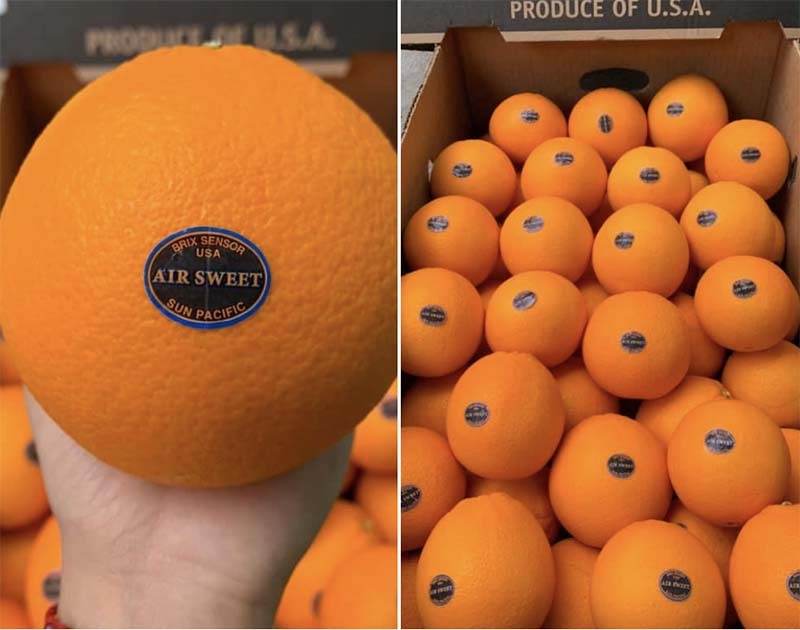 Chuyện chưa từng có, hàng VIP Âu - Mỹ đổ ra chợ cóc, vỉa hè giá siêu rẻ-2