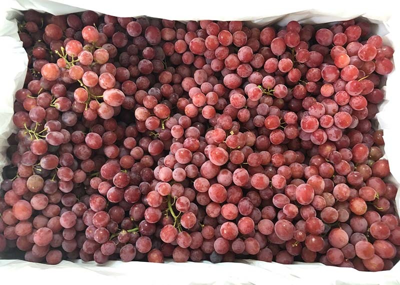 Chuyện chưa từng có, hàng VIP Âu - Mỹ đổ ra chợ cóc, vỉa hè giá siêu rẻ-3