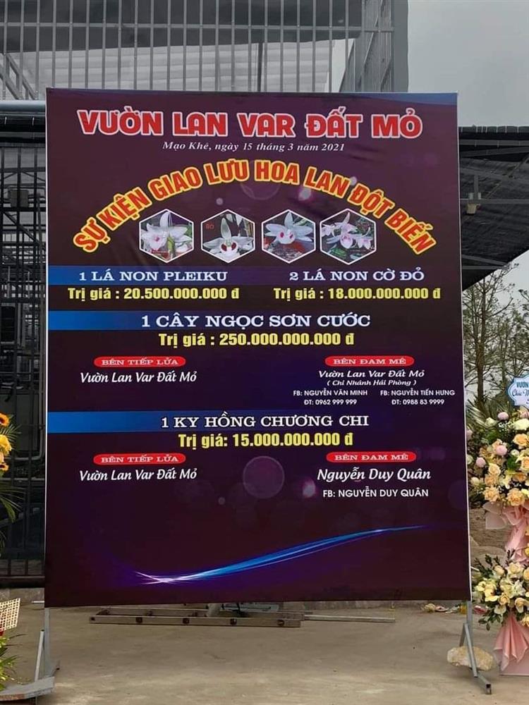 Nghi vấn quanh vụ mua bán lan var Ngọc Sơn Cước 250 tỷ ở Quảng Ninh-1