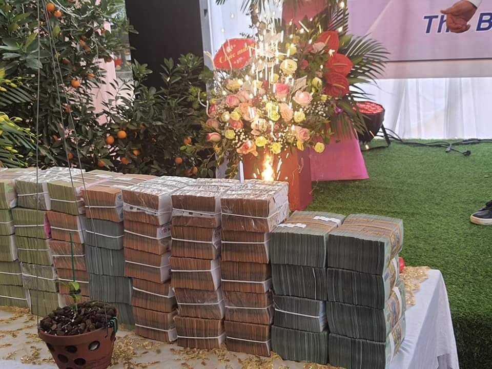 Nghi vấn quanh vụ mua bán lan var Ngọc Sơn Cước 250 tỷ ở Quảng Ninh-4