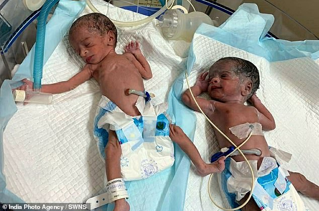 Một năm sau khi sinh đôi ở tuổi 74, sản phụ già nhất thế giới trở thành bà mẹ đơn thân một mình nuôi 2 con-2