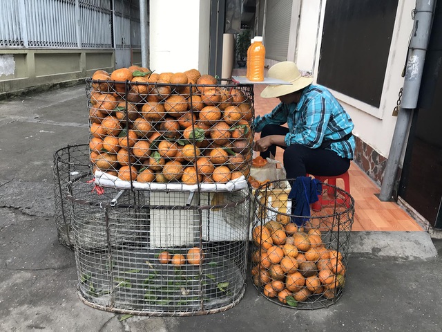 Túc tắc ngày vắt 3 tạ cam sành đóng chai, tiểu thương thu về tiền triệu-2