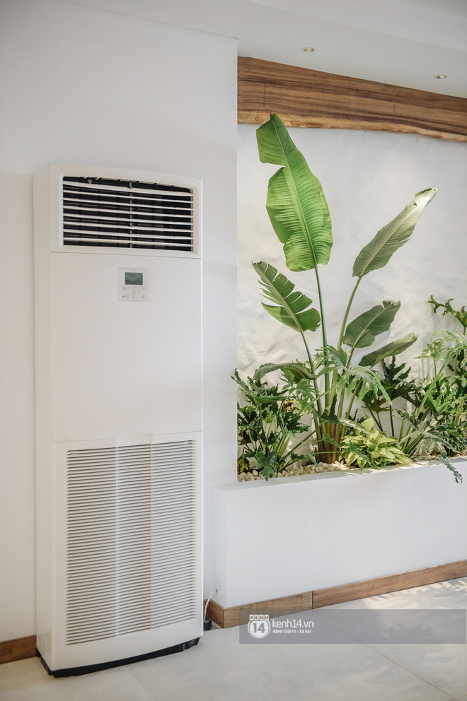 Ca nương Kiều Anh khoe nhà: Căn hộ đập thông 300m2, chi phí sửa sang bằng tiền mua 1 căn chung cư nữa-2