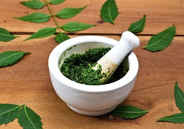 Bé 9 tháng tuổi ở Bắc Giang tử vong vì sốc nhiễm khuẩn, ngừng tuần hoàn do gia đình đắp lá chữa bỏng-1